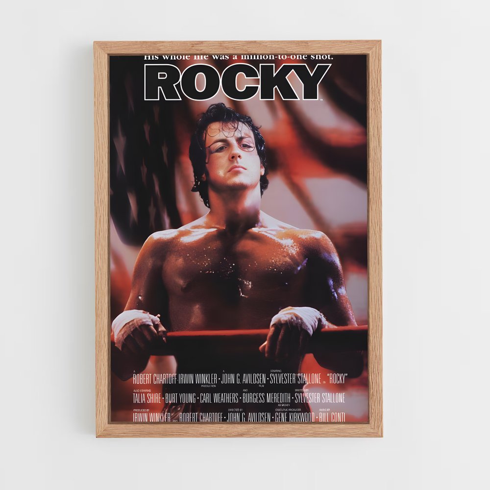 ap-rocky-4 cadre Bois clair