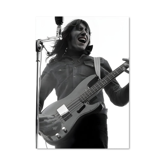 Poster Roger waters 56284