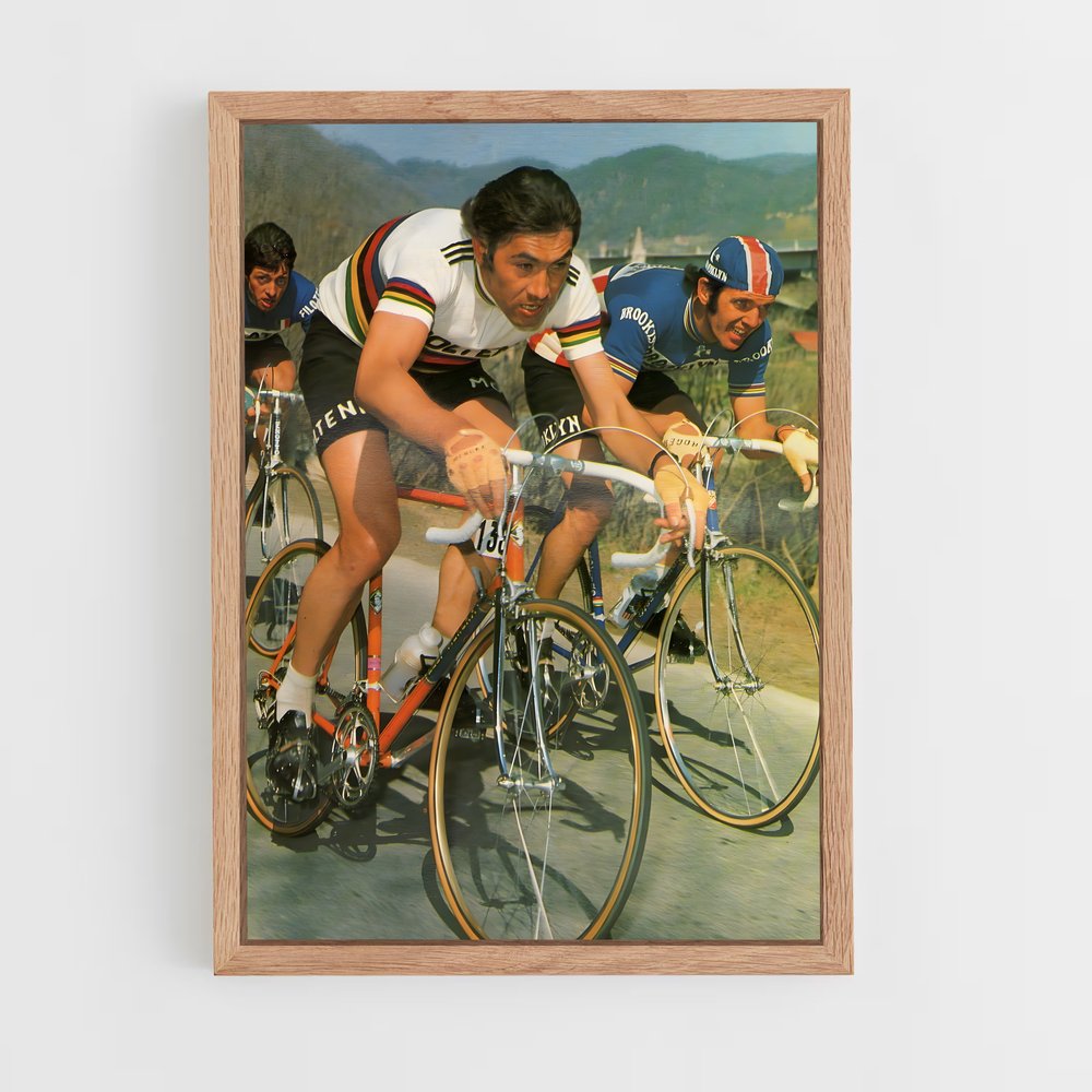 ap-roger de vlaeminck-1 cadre Bois clair