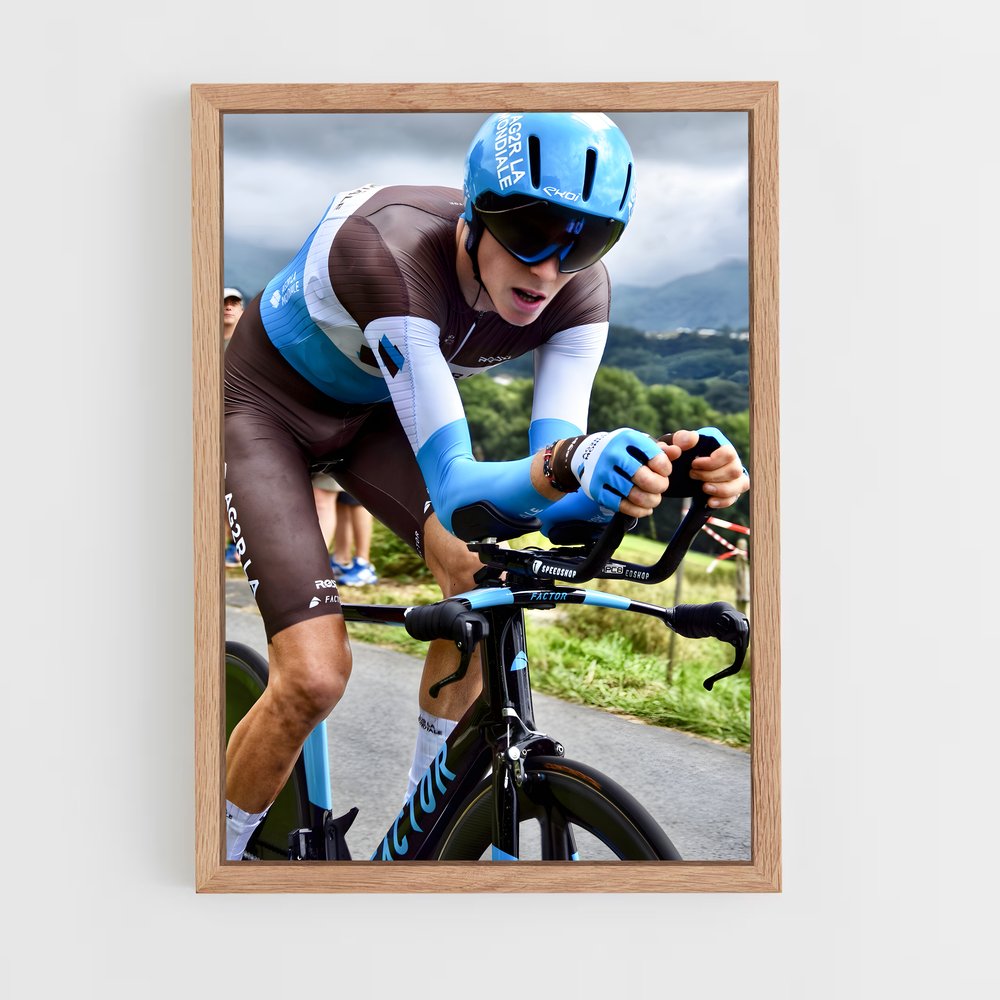 ap-romain bardet-2 cadre Bois clair