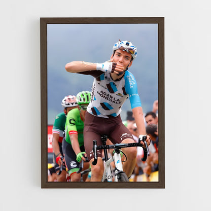 ap-romain bardet-4 cadre Bois foncé