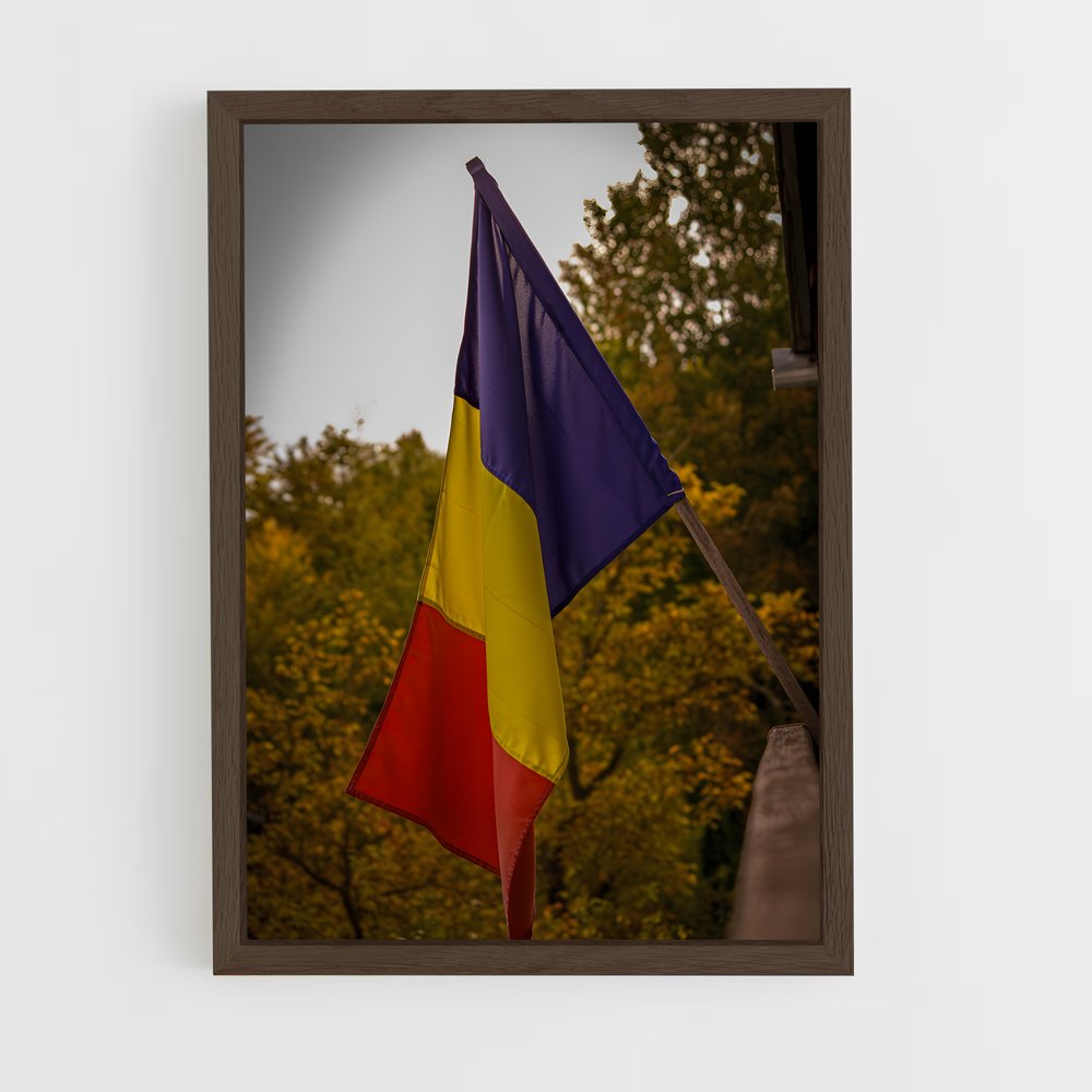 ap-romania flag-1 cadre Bois foncé
