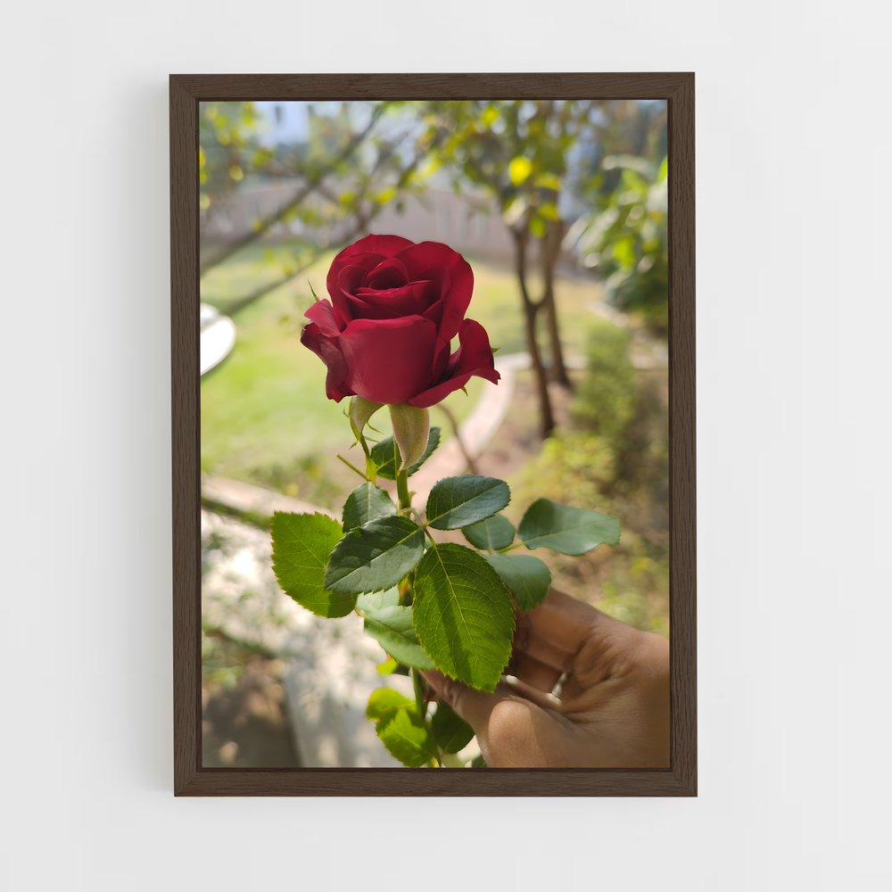 ap-rose-13 cadre Bois foncé