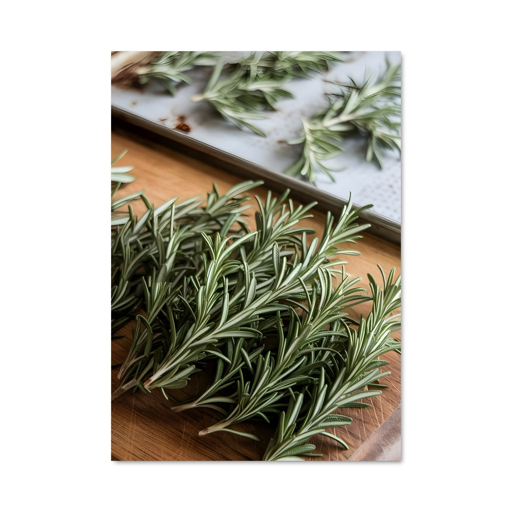 Poster Rosemary 24593