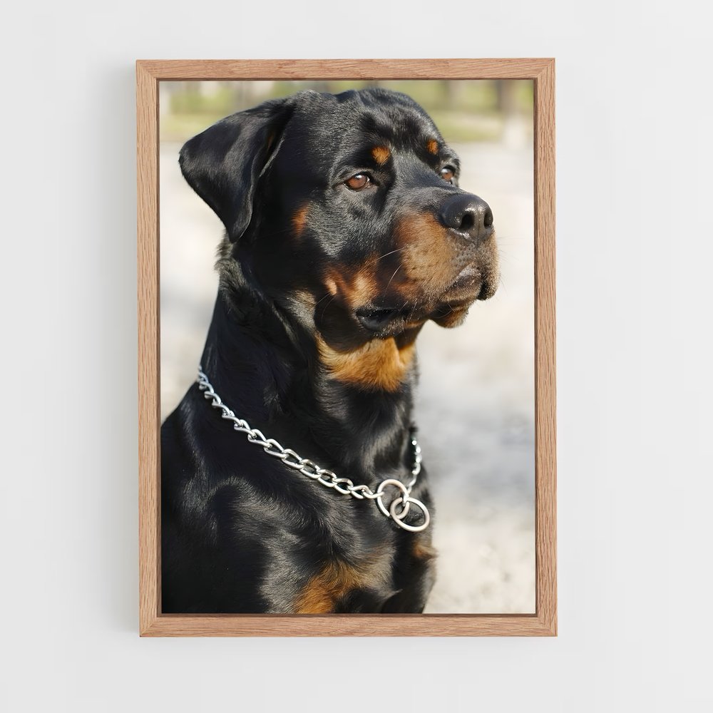 ap-rottweiler-1 cadre Bois clair