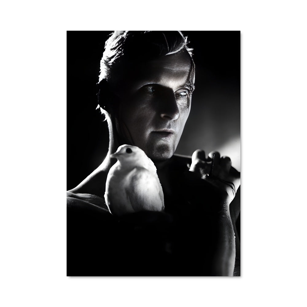 Poster L'Envol de Roy