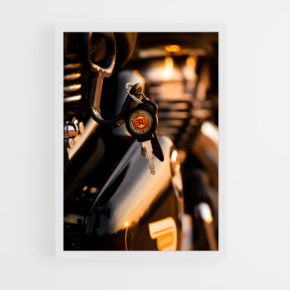 ap-royal enfield-9 cadre Blanc