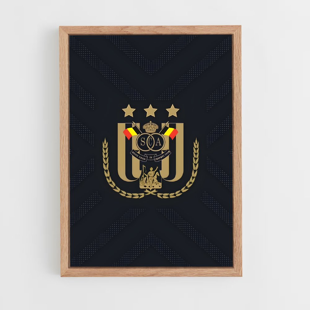 ap-rsc anderlecht-9 cadre Bois clair