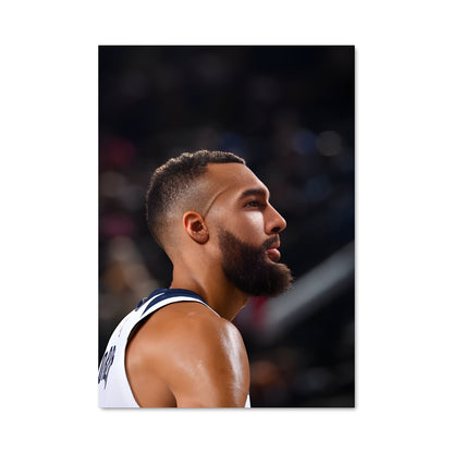 Poster Rudy gobert 60295