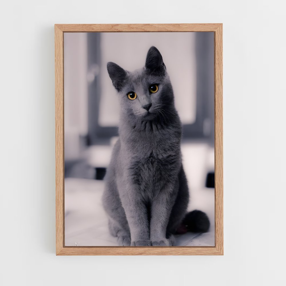 ap-russian blue-1 cadre Bois clair