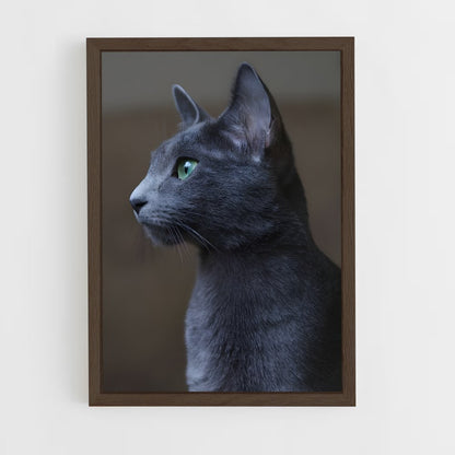 ap-russian blue-2 cadre Bois foncé