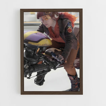 ap-sabine wren-4 cadre Bois foncé