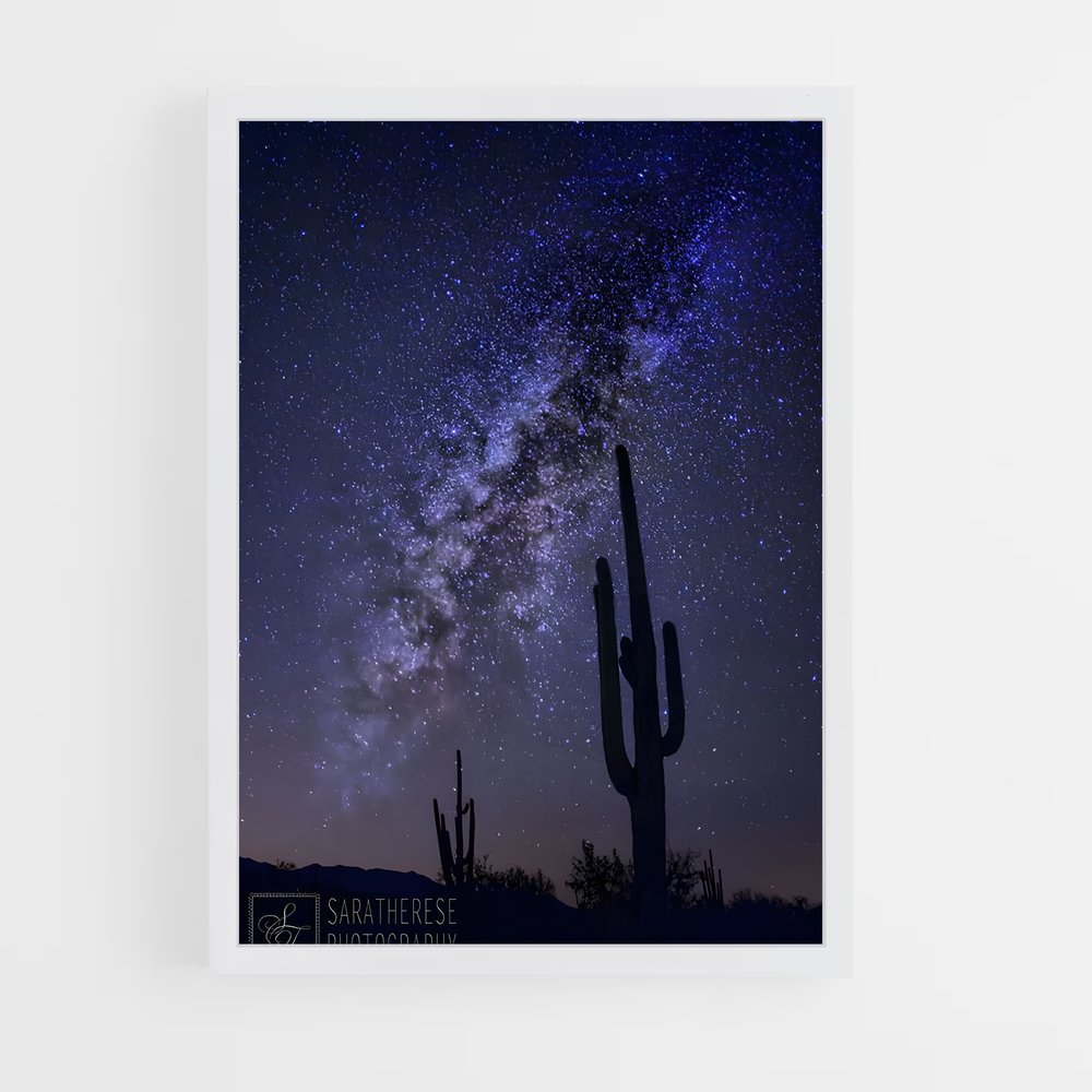 ap-saguaro-2 cadre Blanc