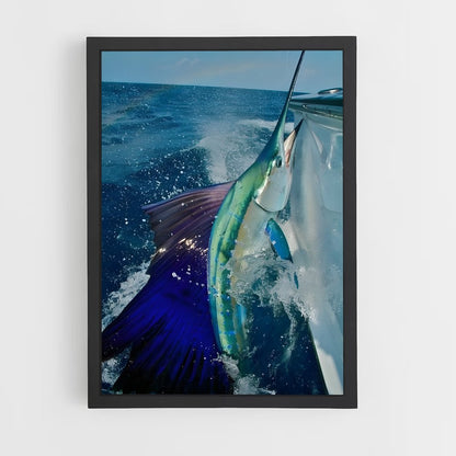 ap-sailfish-2 cadre Noir