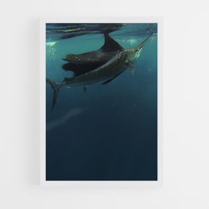 ap-sailfish-4 cadre Blanc