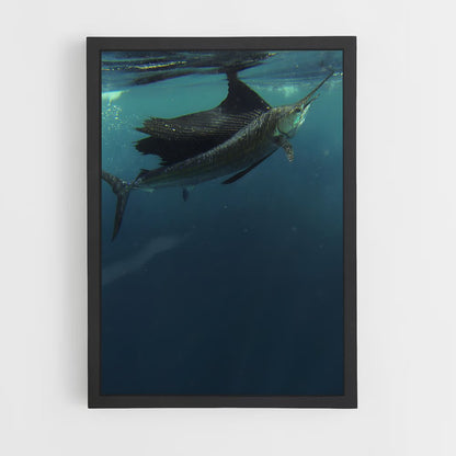 ap-sailfish-4 cadre Noir