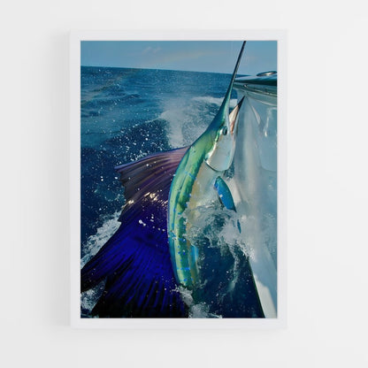 ap-sailfish-5 cadre Blanc