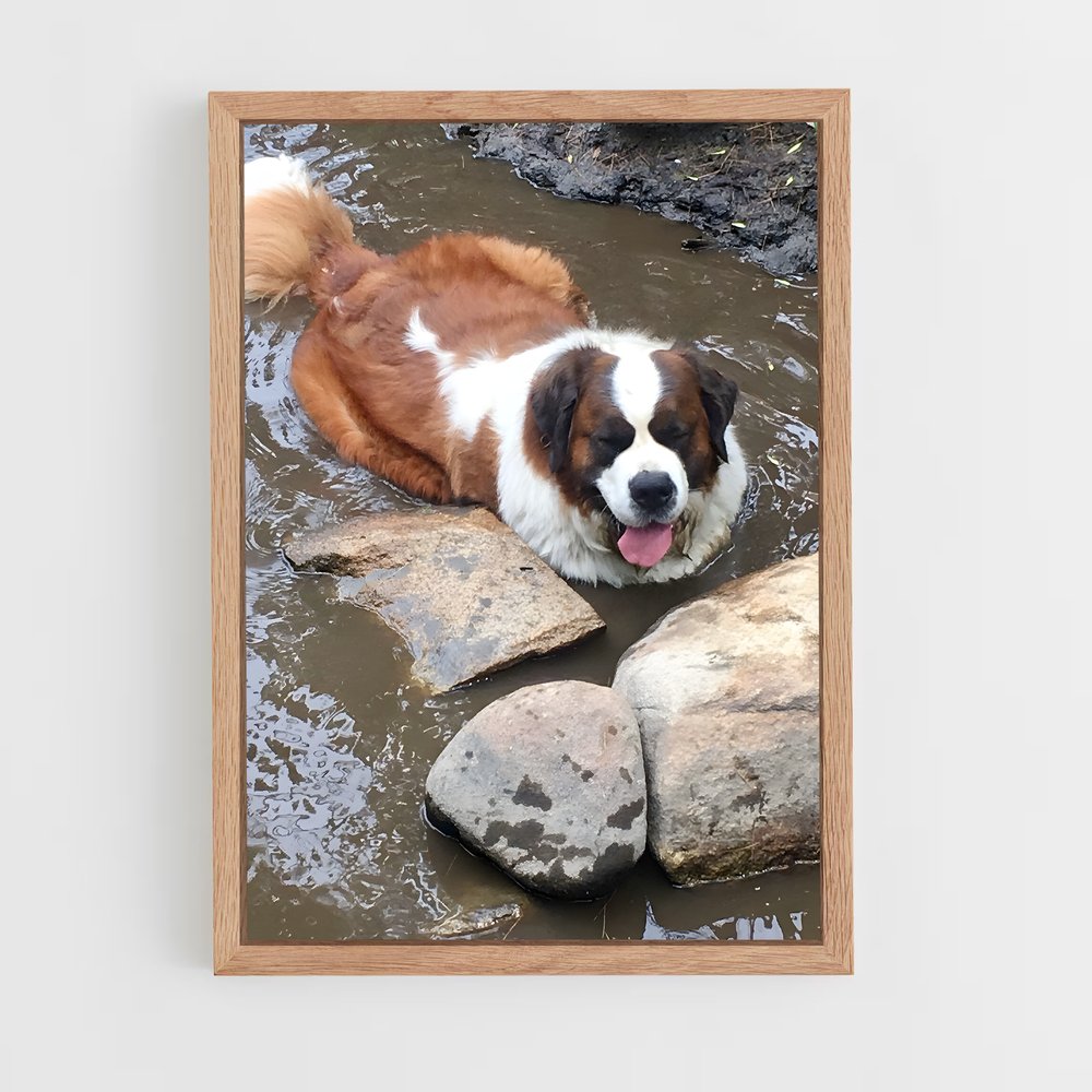 ap-saint bernard-2 cadre Bois clair