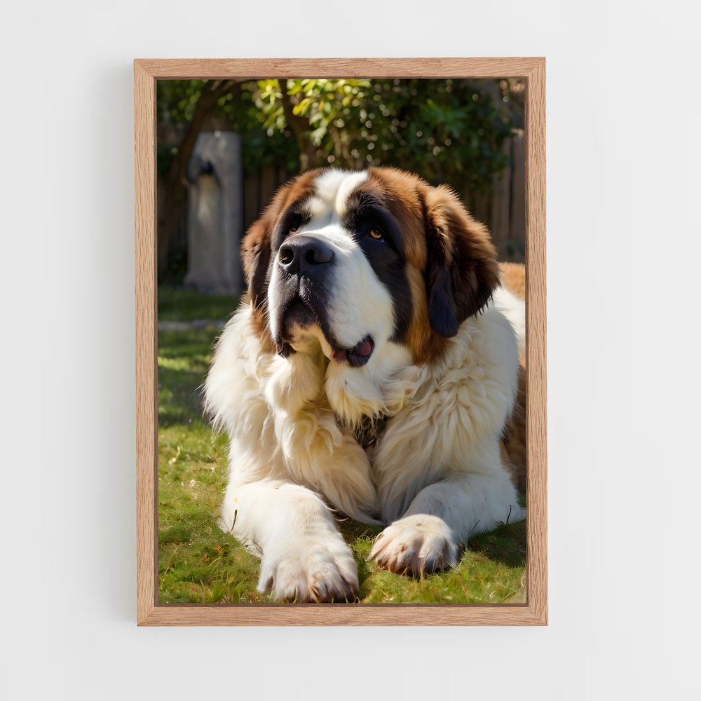 ap-saint bernard-3 cadre Bois clair