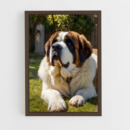 ap-saint bernard-3 cadre Bois foncé