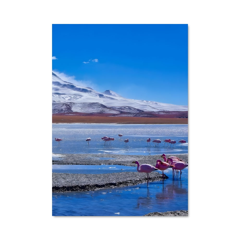 Poster Flamboyants des Altiplanos