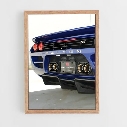 ap-saleen-5 cadre Bois clair
