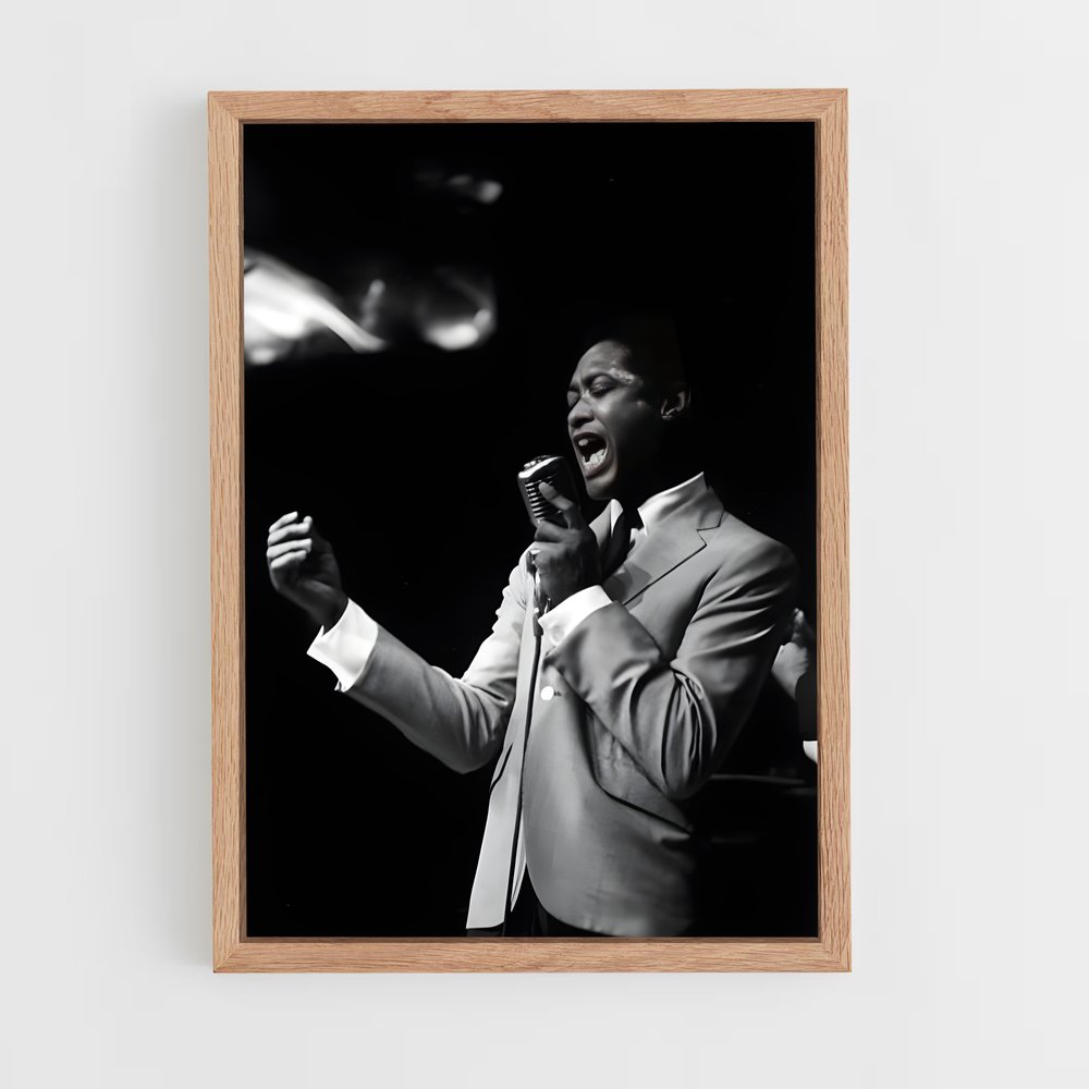 ap-sam cooke-3 cadre Bois clair
