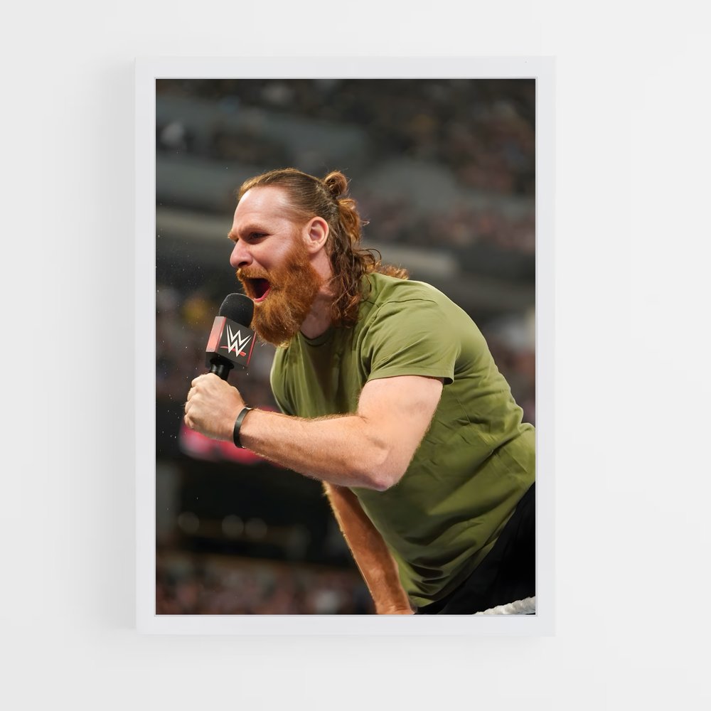 ap-sami zayn-6 cadre Blanc