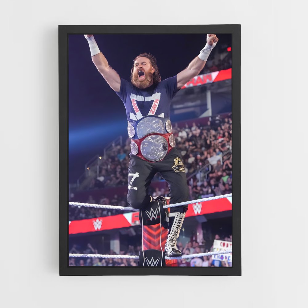ap-sami zayn-8 cadre Noir