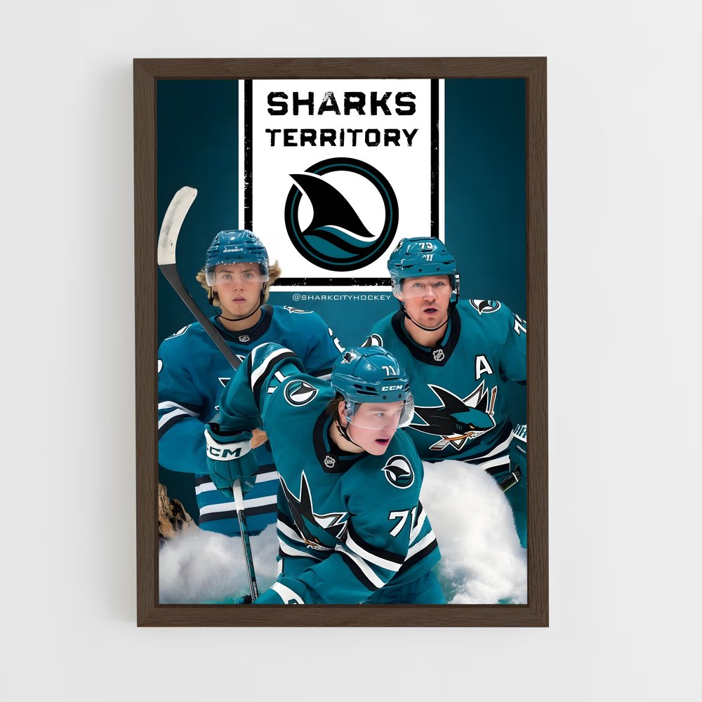 ap-san jose sharks-5 cadre Bois foncé