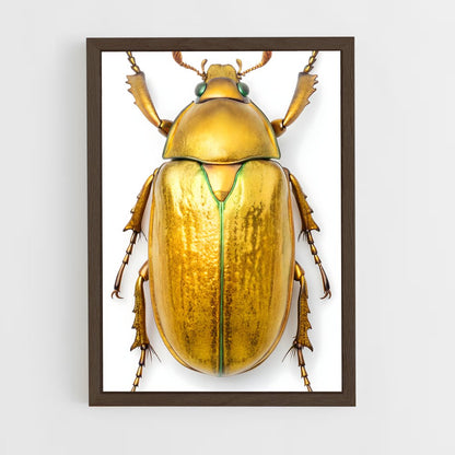 ap-scarab-1 cadre Bois foncé