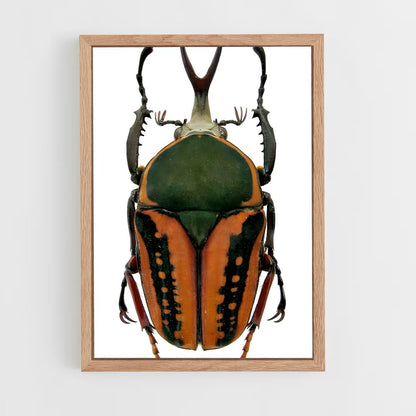ap-scarab-6 cadre Bois clair