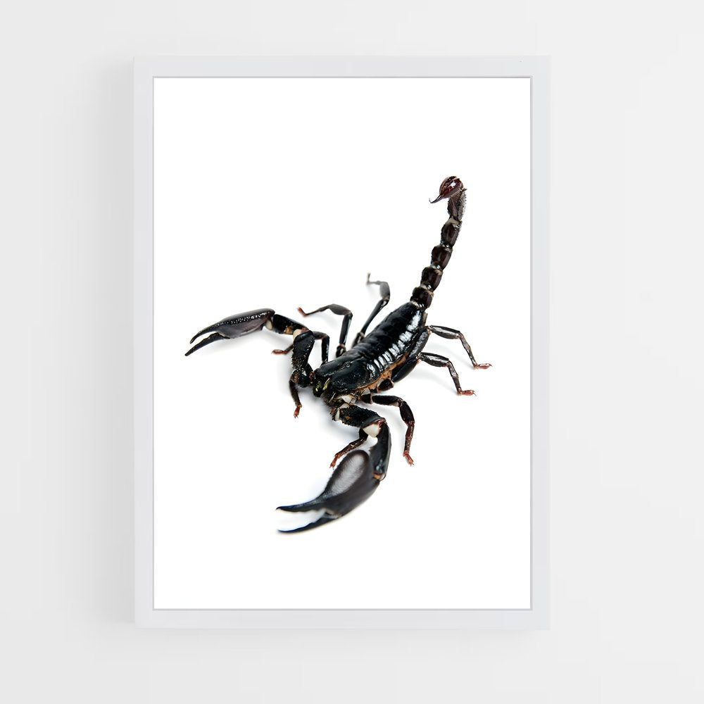 ap-scorpion-21 cadre Blanc