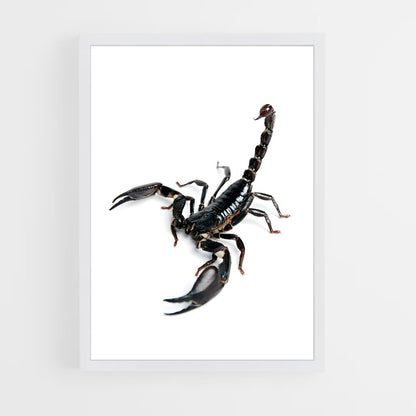 ap-scorpion-21 cadre Blanc