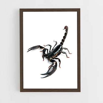 ap-scorpion-21 cadre Bois foncé