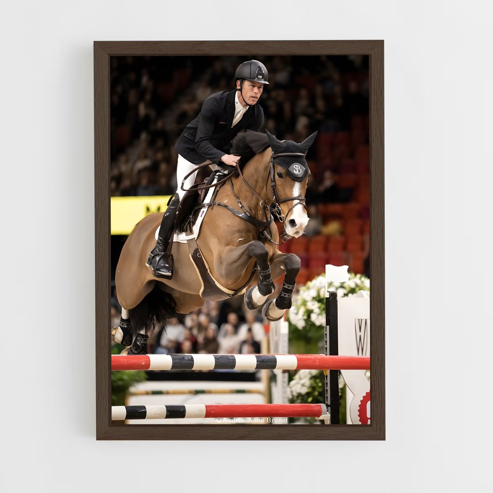 ap-scott brash-5 cadre Bois foncé