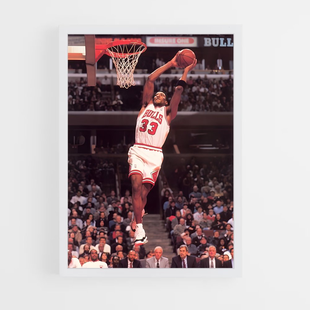 ap-scottie pippen-2 cadre Blanc