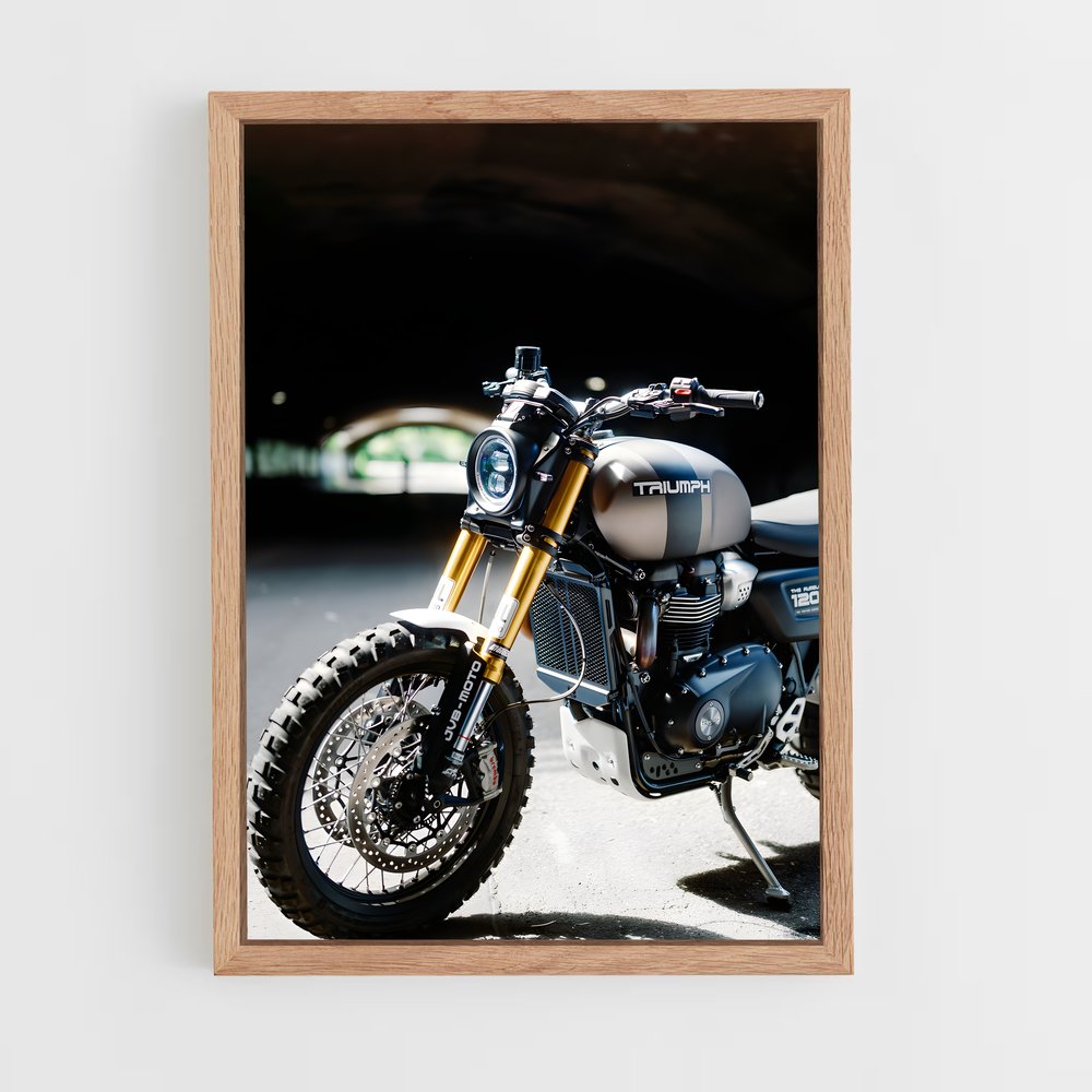 ap-scrambler 1200-1 cadre Bois clair
