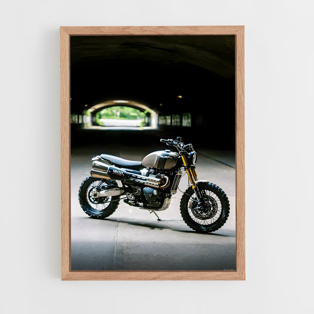 ap-scrambler 1200-2 cadre Bois clair
