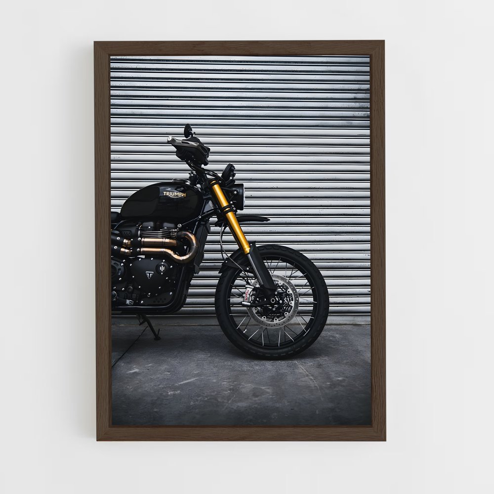ap-scrambler 1200-4 cadre Bois foncé