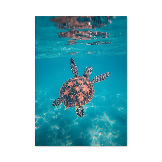 Poster Sea turtle 84307