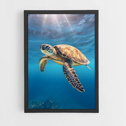 ap-sea turtle-1 cadre Noir