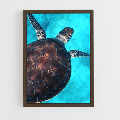 ap-sea turtle-12 cadre Bois foncé