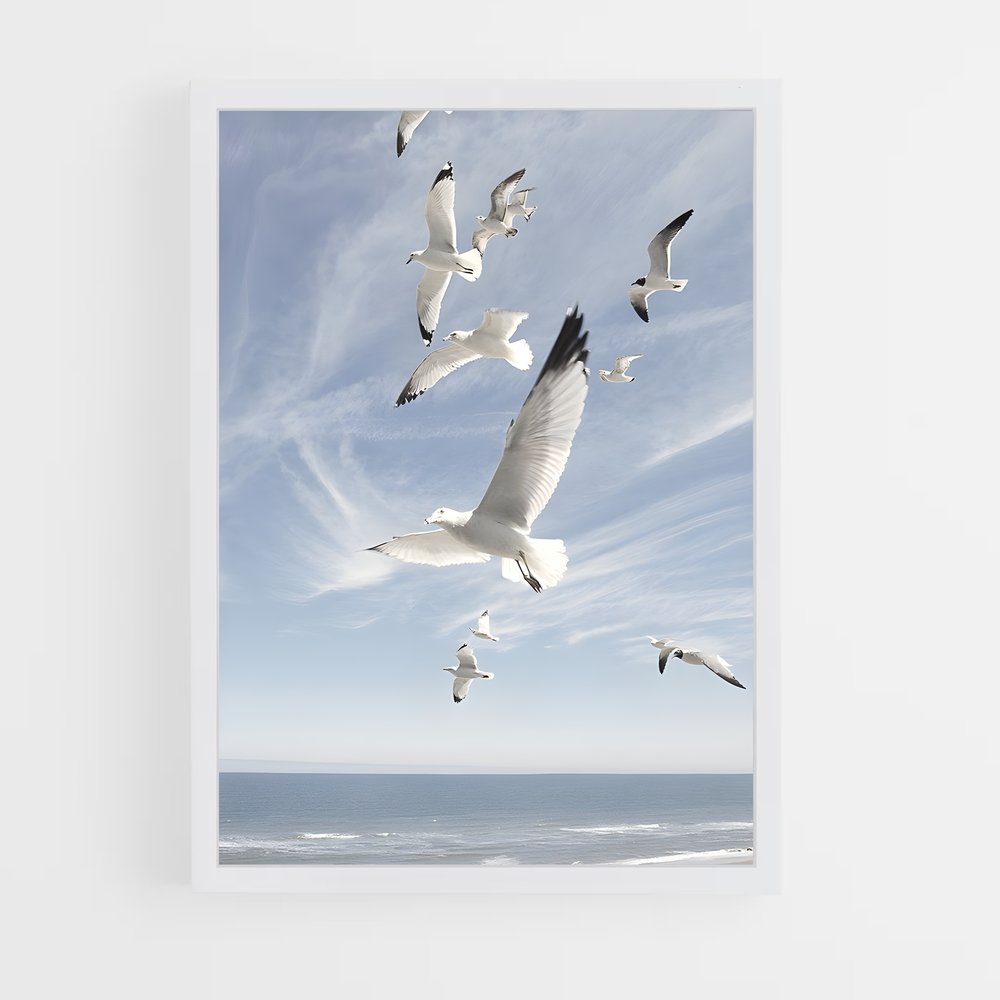 ap-seagull-1 cadre Blanc