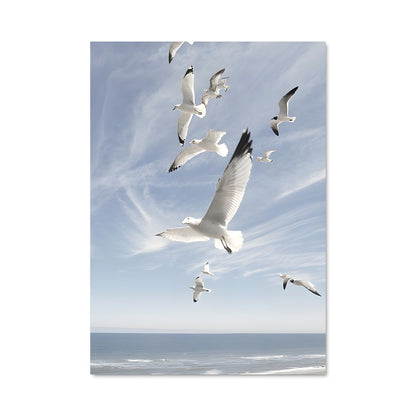 Poster Vol de Mouettes