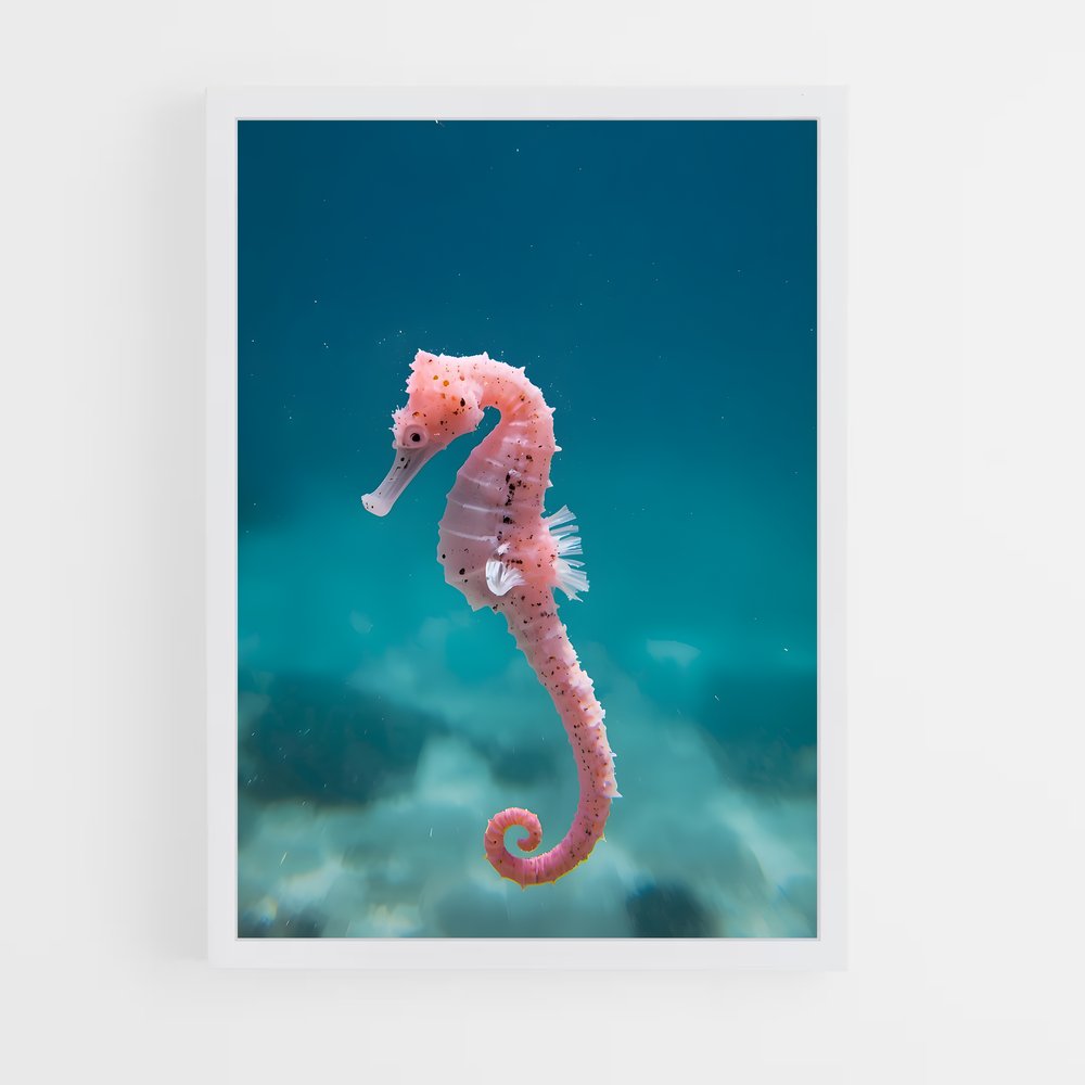 ap-seahorse-1 cadre Blanc