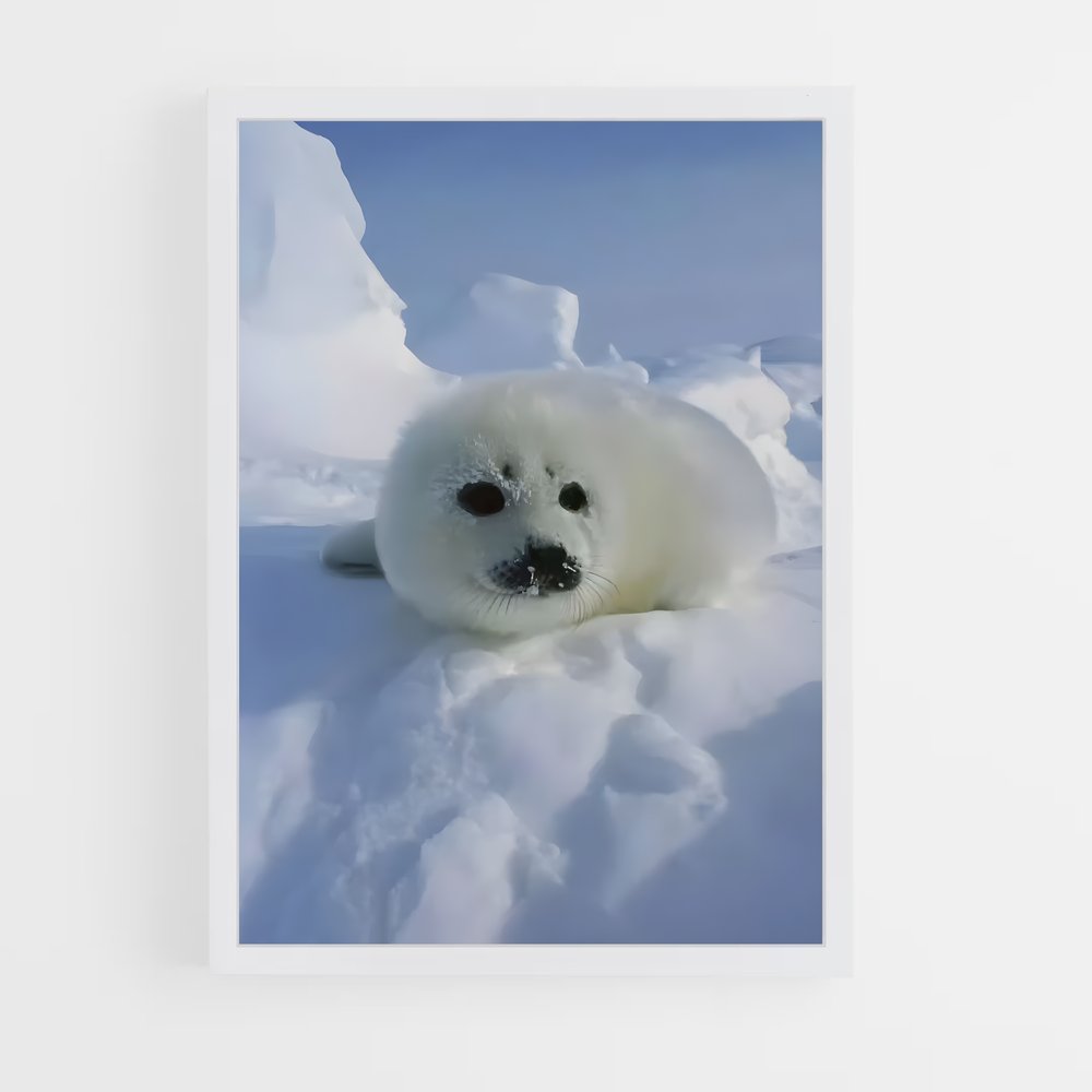 ap-seal-3 cadre Blanc
