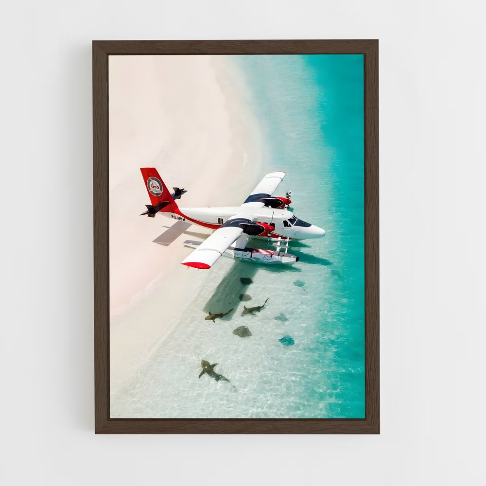 ap-seaplanes-1 cadre Bois foncé