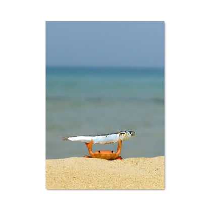 Poster Crabe en Évasion