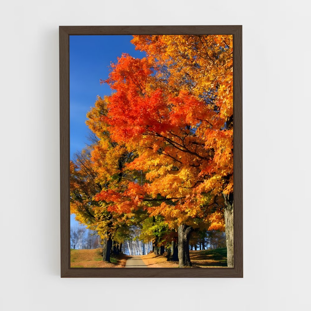 ap-seasons-14 cadre Bois foncé